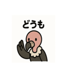 かわいいシュールなハゲタカの毎日（個別スタンプ：3）
