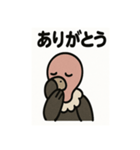 かわいいシュールなハゲタカの毎日（個別スタンプ：13）