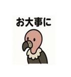 かわいいシュールなハゲタカの毎日（個別スタンプ：15）