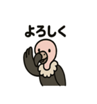 かわいいシュールなハゲタカの毎日（個別スタンプ：38）