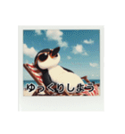 日光浴中サングラスペンギン（個別スタンプ：6）