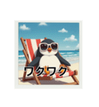 日光浴中サングラスペンギン（個別スタンプ：24）