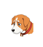 【表情豊かな動物達 4】（個別スタンプ：1）