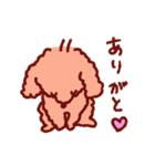 トイプーのきもち3（個別スタンプ：1）