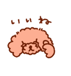 トイプーのきもち3（個別スタンプ：2）