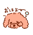 トイプーのきもち3（個別スタンプ：7）