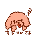 トイプーのきもち3（個別スタンプ：9）