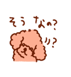 トイプーのきもち3（個別スタンプ：13）