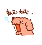 トイプーのきもち3（個別スタンプ：16）