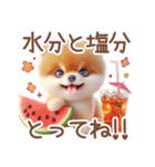 ポメラニアンの夏のよく使う言葉（個別スタンプ：1）