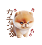 ポメラニアンの夏のよく使う言葉（個別スタンプ：2）