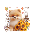 ポメラニアンの夏のよく使う言葉（個別スタンプ：7）