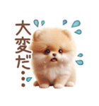 ポメラニアンの夏のよく使う言葉（個別スタンプ：9）