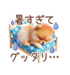 ポメラニアンの夏のよく使う言葉（個別スタンプ：10）