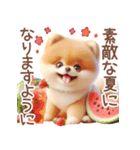 ポメラニアンの夏のよく使う言葉（個別スタンプ：18）