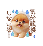ポメラニアンの夏のよく使う言葉（個別スタンプ：20）