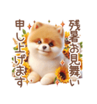ポメラニアンの夏のよく使う言葉（個別スタンプ：22）