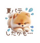 ポメラニアンの夏のよく使う言葉（個別スタンプ：26）