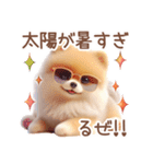 ポメラニアンの夏のよく使う言葉（個別スタンプ：31）