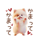 ポメラニアンの夏のよく使う言葉（個別スタンプ：34）