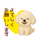 ずっと使えるトイプードルスタンプ【敬語】（個別スタンプ：19）