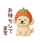 ずっと使えるトイプードルスタンプ【敬語】（個別スタンプ：24）