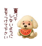 ずっと使えるトイプードルスタンプ【敬語】（個別スタンプ：26）