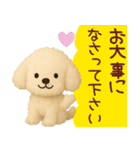 ずっと使えるトイプードルスタンプ【敬語】（個別スタンプ：37）