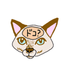 脳内丸見え！猫編（個別スタンプ：5）