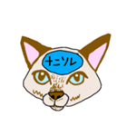脳内丸見え！猫編（個別スタンプ：25）
