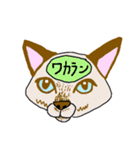 脳内丸見え！猫編（個別スタンプ：27）
