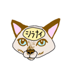 脳内丸見え！猫編（個別スタンプ：28）