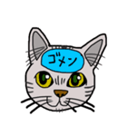 脳内丸見え！猫編（個別スタンプ：37）