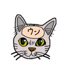 脳内丸見え！猫編（個別スタンプ：40）