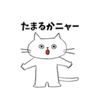 ニャー⭐︎土佐弁ねこ（個別スタンプ：3）