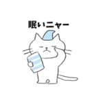 ニャー⭐︎土佐弁ねこ（個別スタンプ：7）