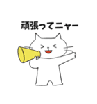 ニャー⭐︎土佐弁ねこ（個別スタンプ：14）
