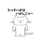 ニャー⭐︎土佐弁ねこ（個別スタンプ：18）