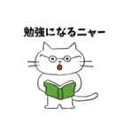 ニャー⭐︎土佐弁ねこ（個別スタンプ：24）