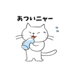 ニャー⭐︎土佐弁ねこ（個別スタンプ：27）