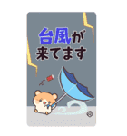 ちびっこあにまるず夏のBIGスタンプ（個別スタンプ：36）
