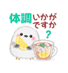 シマエナガさん♡夏（個別スタンプ：25）