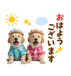 ゴールデンの夏（個別スタンプ：1）