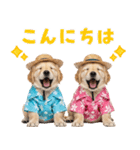 ゴールデンの夏（個別スタンプ：3）