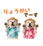 ゴールデンの夏（個別スタンプ：7）