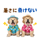 ゴールデンの夏（個別スタンプ：15）