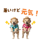 ゴールデンの夏（個別スタンプ：17）