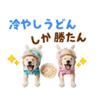ゴールデンの夏（個別スタンプ：23）