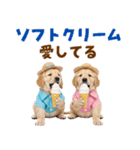 ゴールデンの夏（個別スタンプ：24）