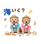 ゴールデンの夏（個別スタンプ：26）